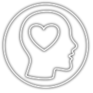 Online Kongress System